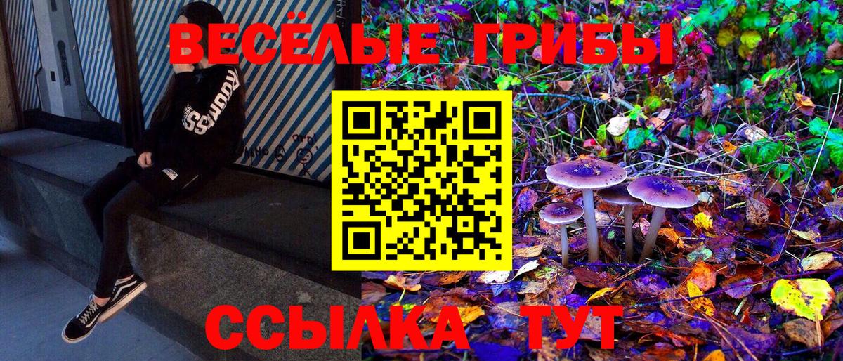 Псилоцибиновые грибы мицелий Луховицы