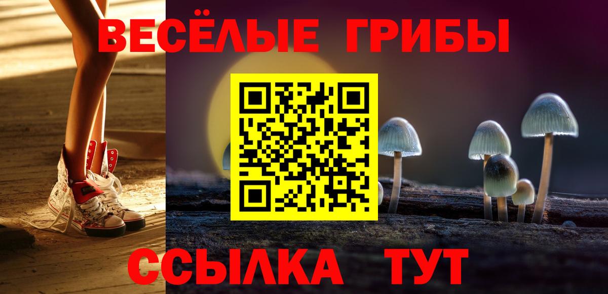 наркошоп  Псилоцибиновые грибы Magic Shrooms  Вход с VPN  Луховицы 